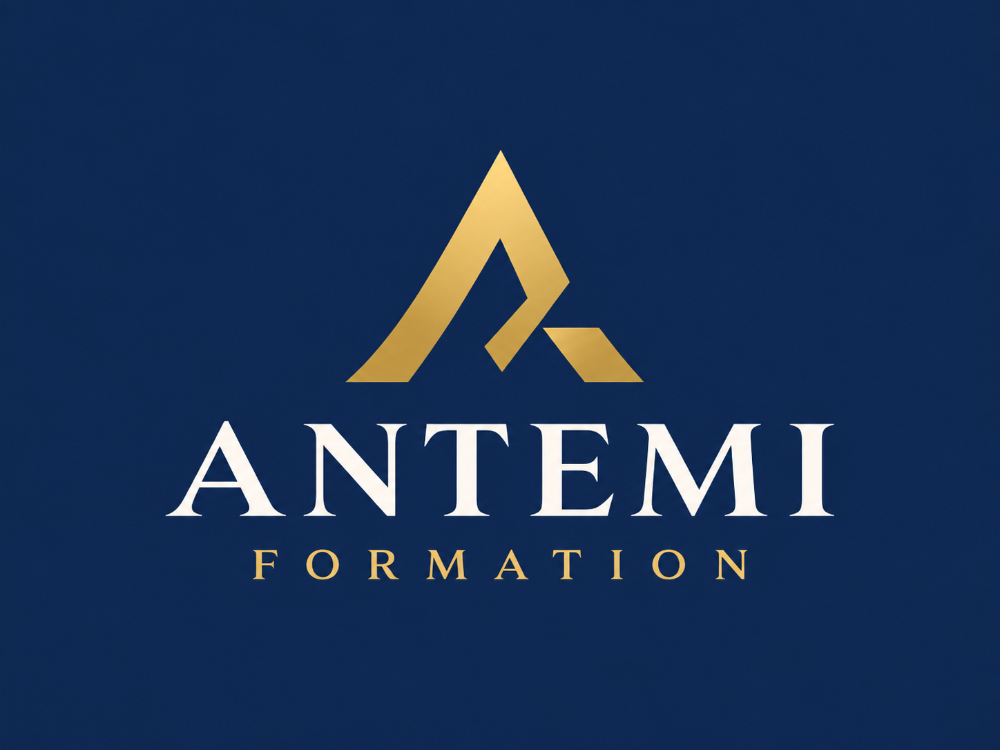 ANTEMI Formation