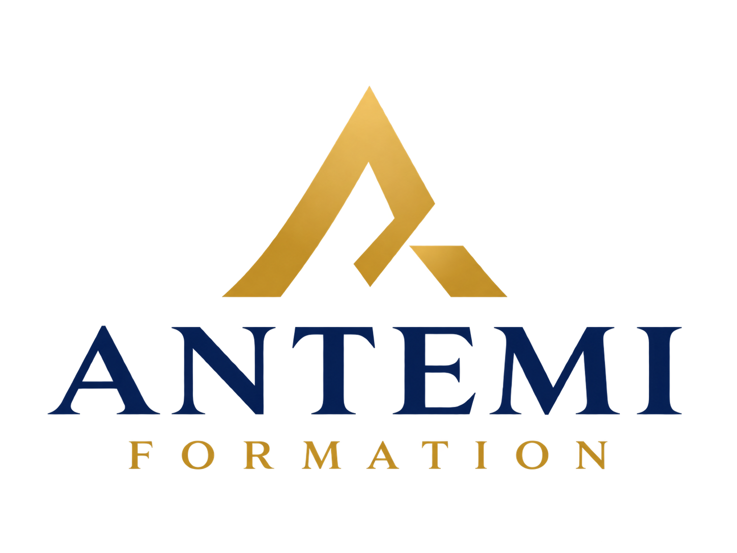 ANTEMI Formation
